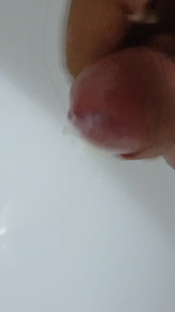 AlexCat: 내 가장 친한 친구는 깨끗해야해