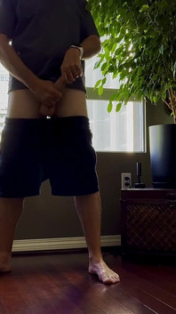 Pokazywanie i głaskanie przed moim oknem