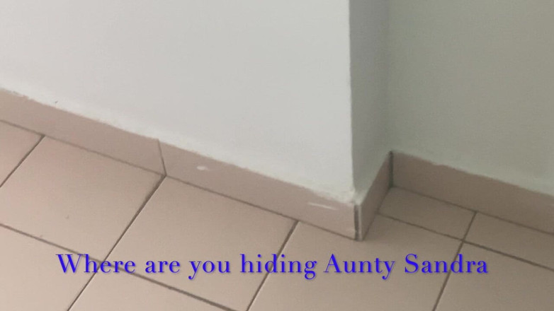 Aunty Sandra vintage girdle queen: Vgq1 サンドラおばさんが白いガードル、Rhtストッキング、シアードレスを着ています