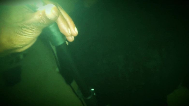 PABLO N3GROBAR: सीजन तीन - वीर्य भालू बाहर