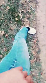Slutboyben cam4 sexy pornostar Exhibitionistin, geil, zeigt großen schlampenschwanz im Cruising Bereich Am stern berlin A115