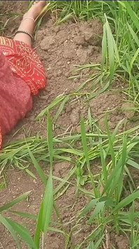 La cognata desi del villaggio brama sesso nel campo aperto all'aperto.