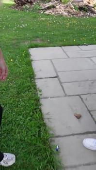Umilirea poliției: Arestare, Frisk și Wedgies