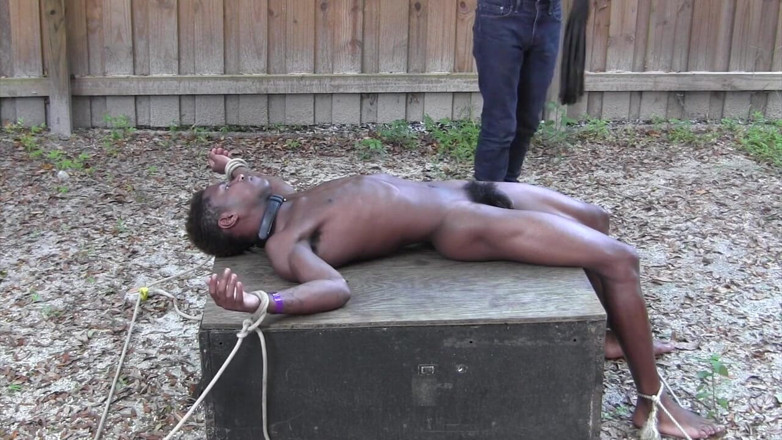 Dream Boy Bondage: Schiavo dimenticato - Capitolo 4