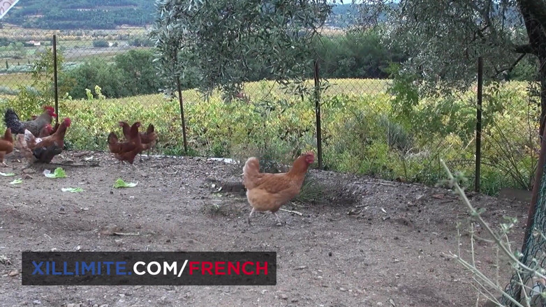 French girls at work: Dreier mit 2 vollbusigen reifen frauen