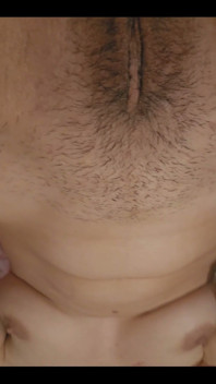 Bonjour, petits cochons