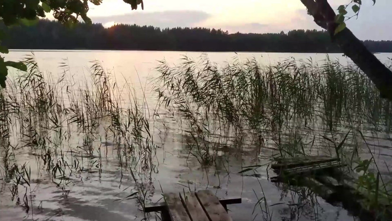 thelazycouple: Stepsister's Ass Filled with My Cum on the Lake