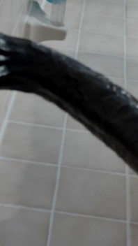10-7-26 Mandi Cobra Mainan Dengan Jari-Nya Di Wowzers AzzNya