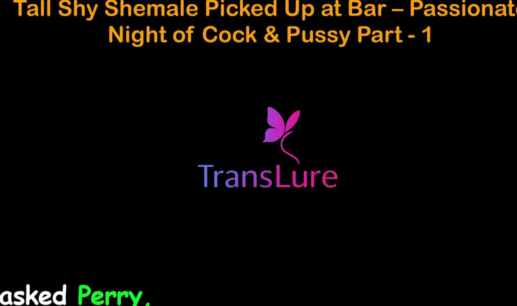 TransLure: English Audio Sex Story - Tall Shy Shemale Picked up at...