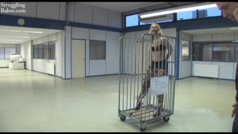 Submissed: 인형 배달 서비스 02 딜도돌