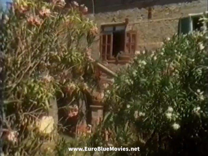 Euro Blue Movies: chudaee-maukhik aaghaat (1991)