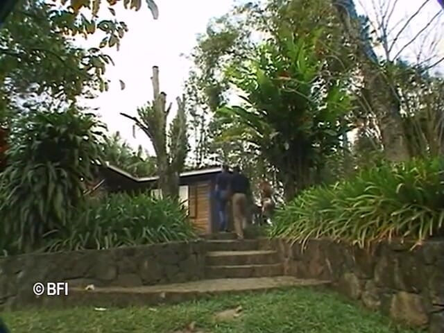 Ladyboy Paradise: Trannie hitam
