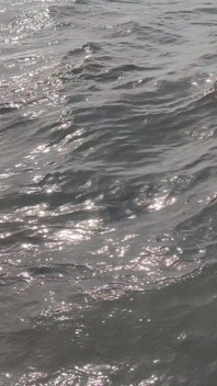 Bts Blooper Open Ocean Phootshot
