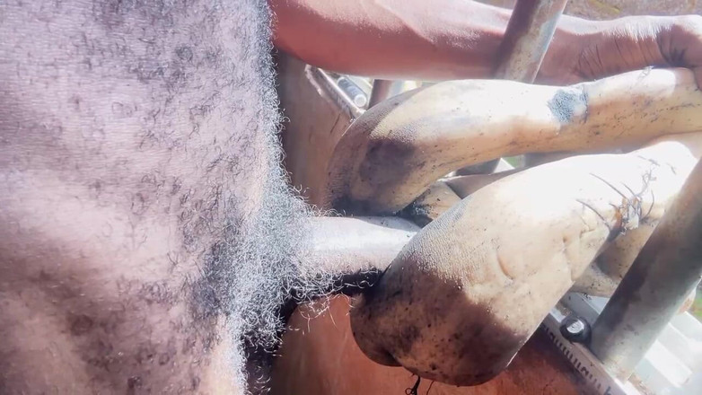 Bangcum8: くそったれのセックスおもちゃたち