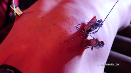 Mistress Iside: Grobe nippeländerung