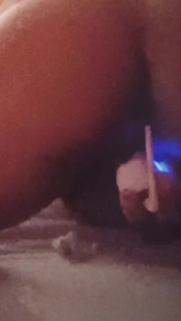 バラを楽しむ