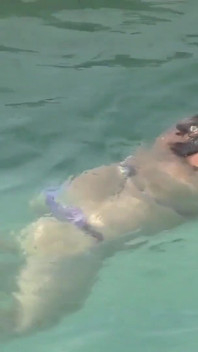 Pertama kali ngentot sama saudara tiri istriku di pantai, memeknya dicrot sperma banyak banget