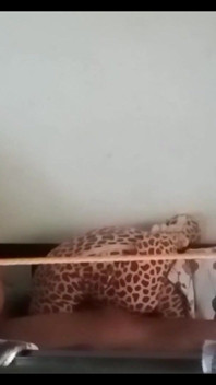 Sborra nel mio culo