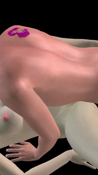 Animated 3D Porn - Asian Man Fucking Beautiful Girl in Missionary Pussy & Ass Creampie
