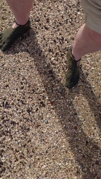 Kort Test I Lerbankarna På Stranden Vid Horumersiel