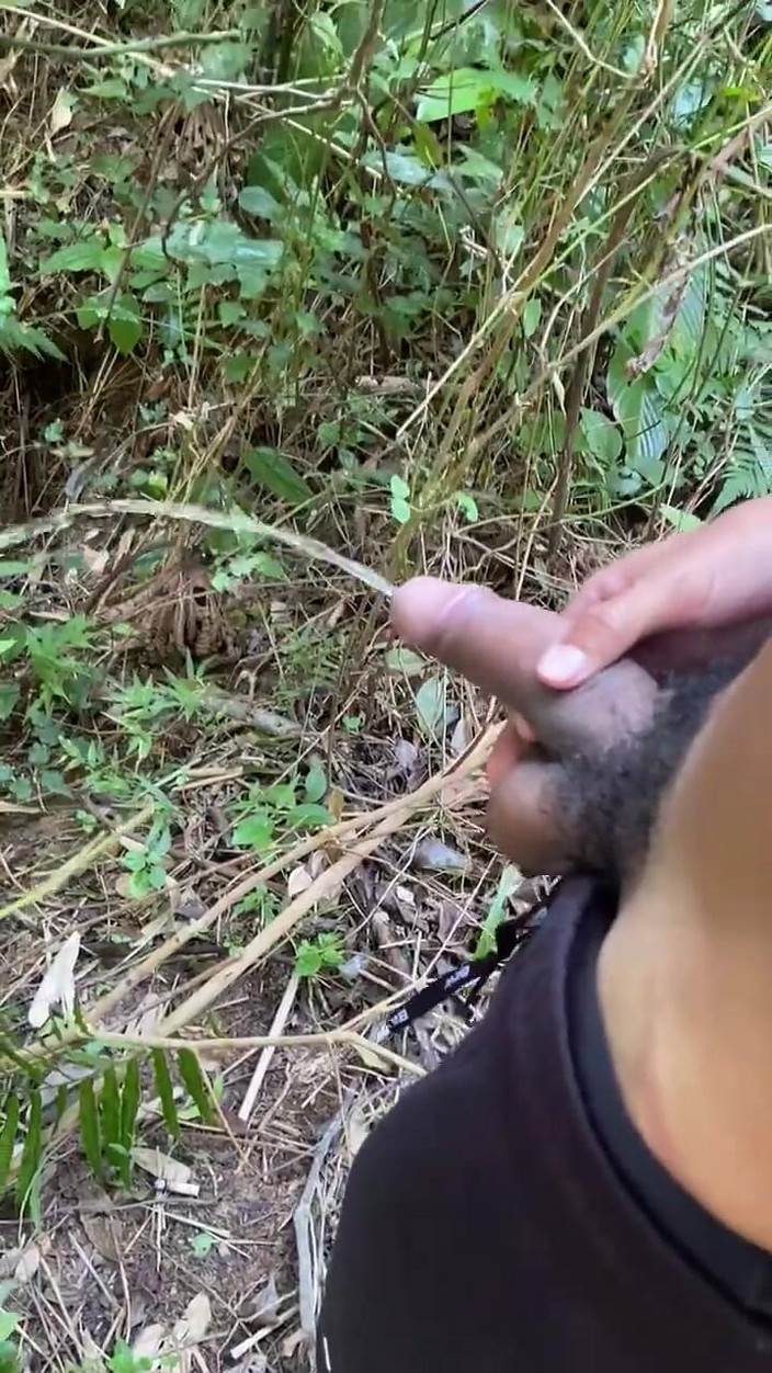 Vida Noite: 激情撒尿在小径上