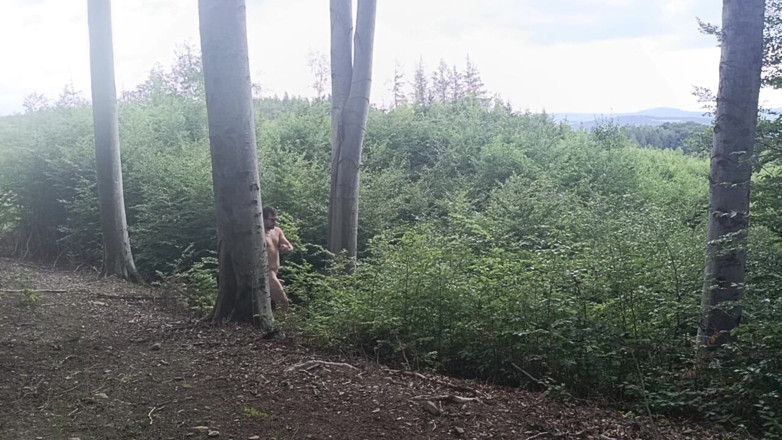 kickerscooter: Between the Beeches: Rough Exhibition on Bare Wood