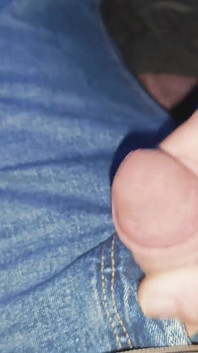 Schwanz in Levis 501 Jeans