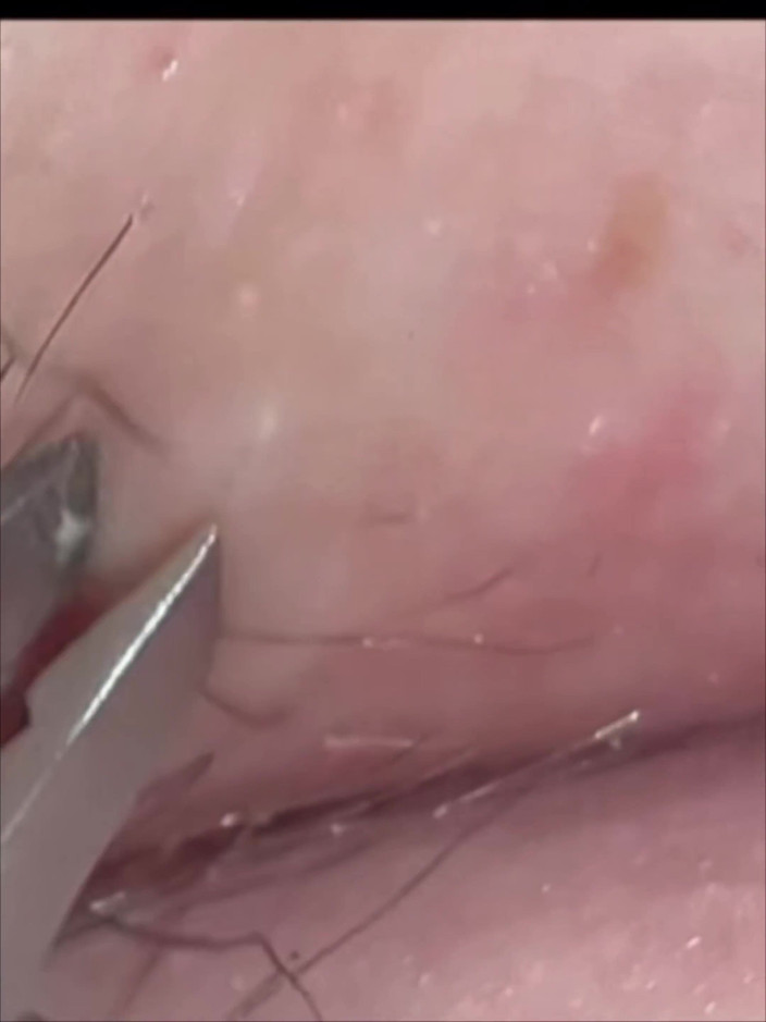 SatisfyingDillyDally: Indizi alla levigatezza Dettagliata