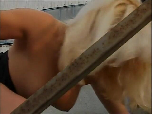 Out Sexxx: Perras reales recogidas y folladas en lugares increíbles (película porno completa)