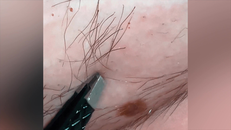 SatisfyingDillyDally: Tiros satisfechos