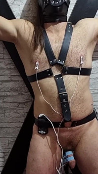 Elektro klingende harnröhrendehnung - schwanz pulsierendes in bondage agonie