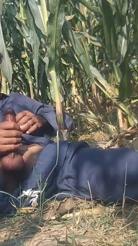 Asian Black Boy Big Cock Cumshot HD