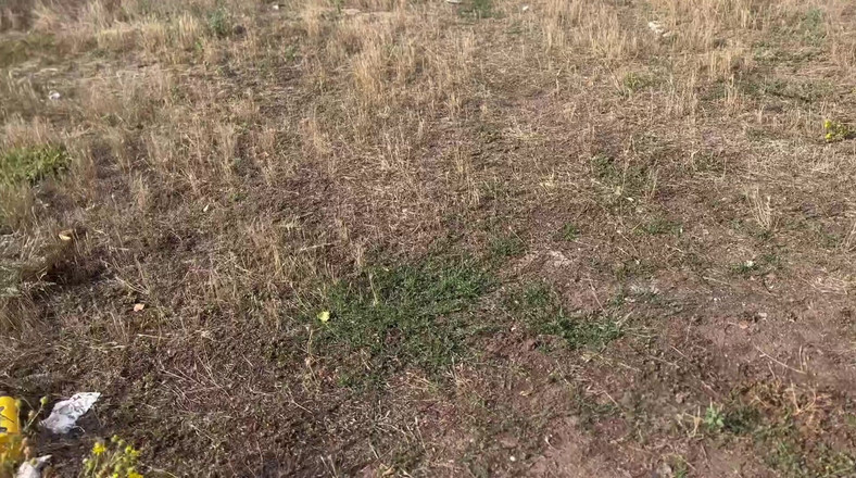 CandyHardEx: 她知道自己将面对什么