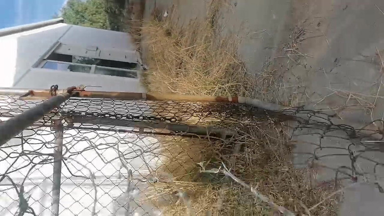 Marga9012: În birou.