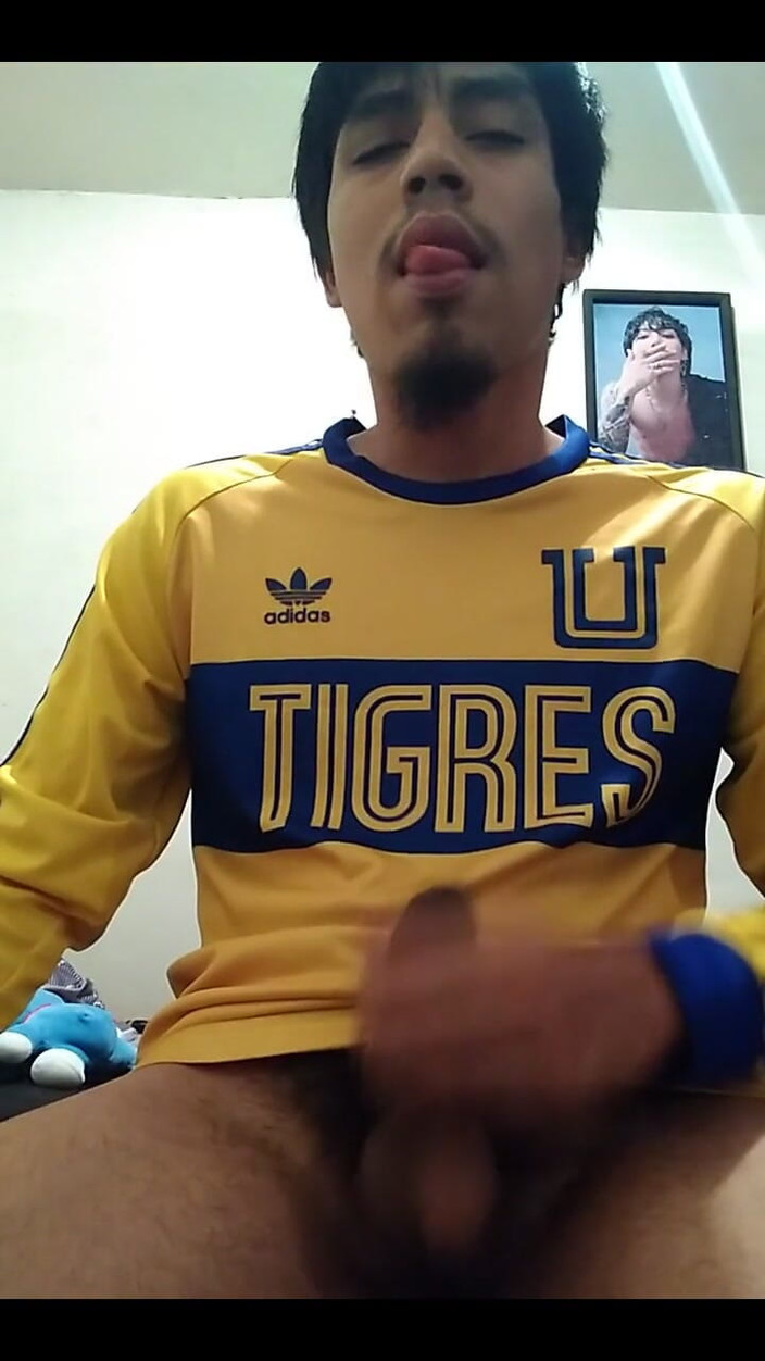 AlexAlejandro13: Tigres, vrátím se bohatý.