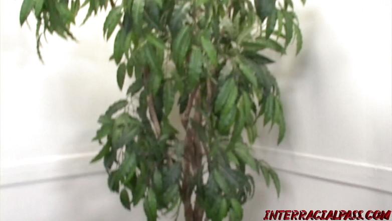 Hush Hush Entertainment: Стриптизерша на Джерси движется, а Ричард получил большой черный член