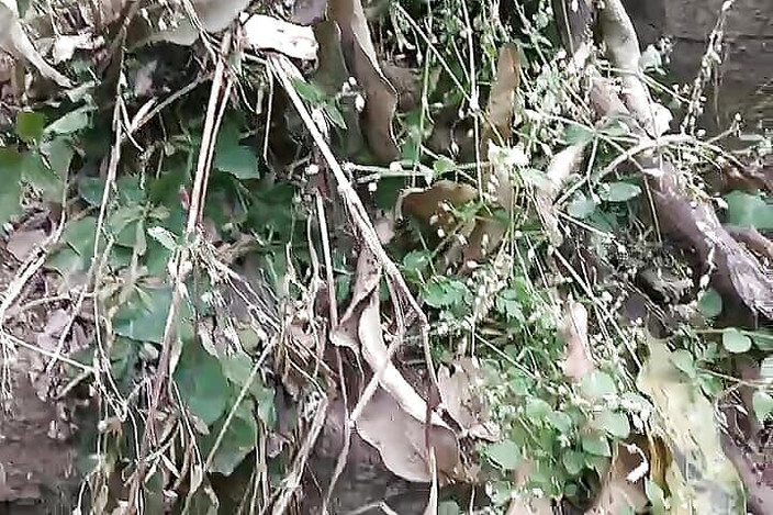 Gangbang straight: Süßes ungeschnittenes tattoo entwirft weißen schwanz, pinkeln