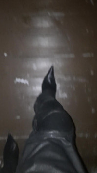 Pointy Boots in Snow