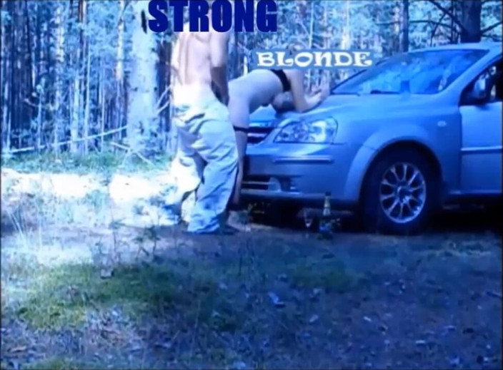 StrongSrg: Holiday in forest