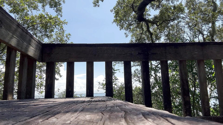 Justin Birmingham: Slinging precum trong rừng