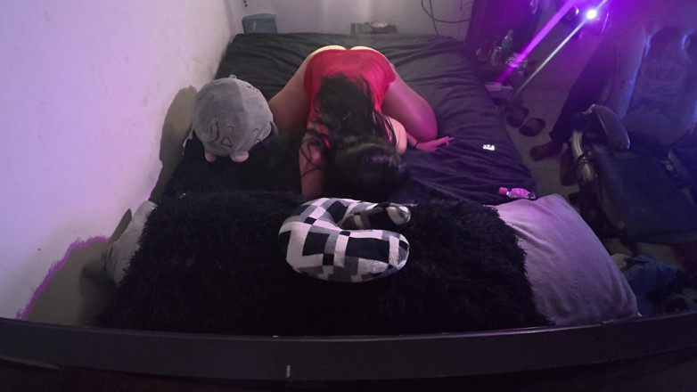 PABLO N3GROBAR: Southmericangoonroom - White Bunnie Bts 2