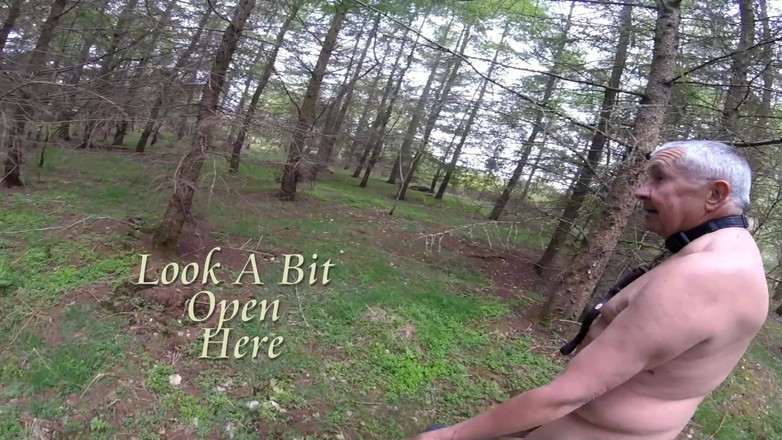 Andy: Прогулянка 20 2025