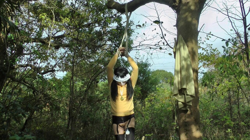 Shibari