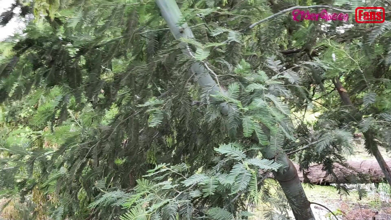 Riderqueen: Neuken met de jonge man, met een grote pik, video's...