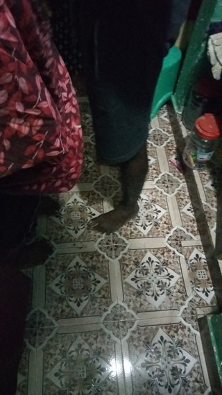 Tamil lesbian: Cewek hot ini lagi asik toketnya sambil ngobr