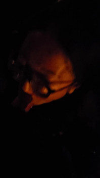 Blowjob in the Street