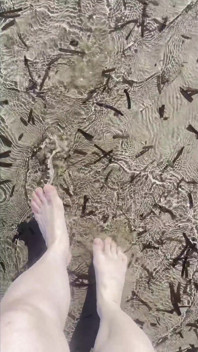 Taquinage de pieds sur la plage
