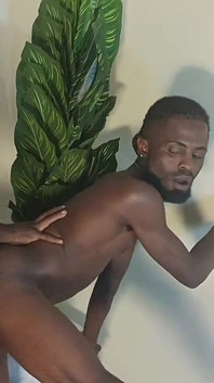 Phantom Pussy Get Fucked by Bolatheboss Beside Flower Vars.