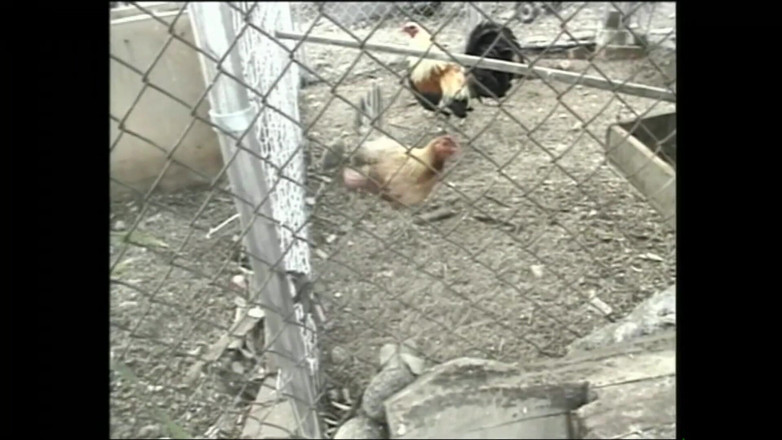 MMV TV - our best full movie: Ik neuk mezelf overal