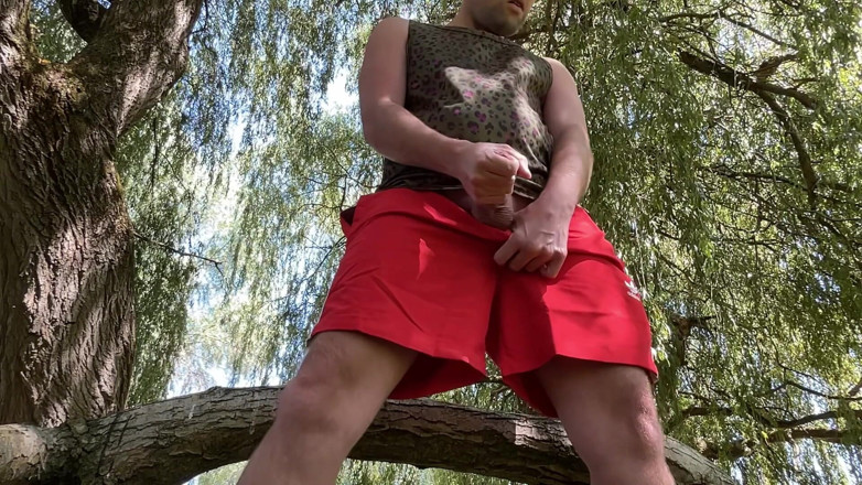Buggiesmugglr: Wenn Sie Heute in Den Wald Gehen, Könnten Sie Eine Überraschung...